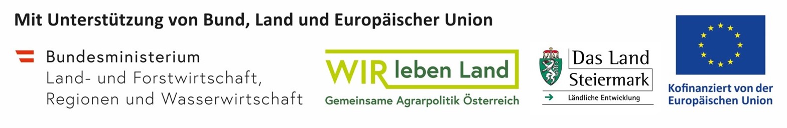 Grafik mit Logos von Ministerium, Landesregierung Steiermark und EU-Flagge, Hinweis auf Förderung.