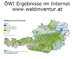 Waldinventur