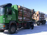 Holztransport