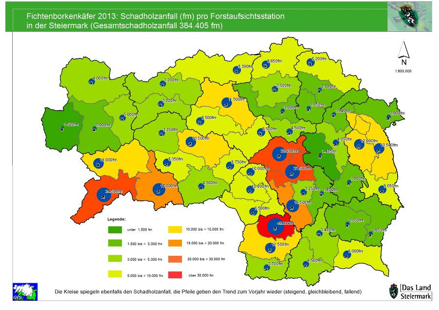 Schadholz 2013