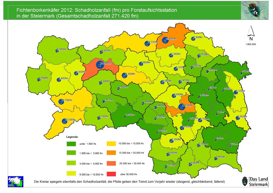 Schadholz 2012