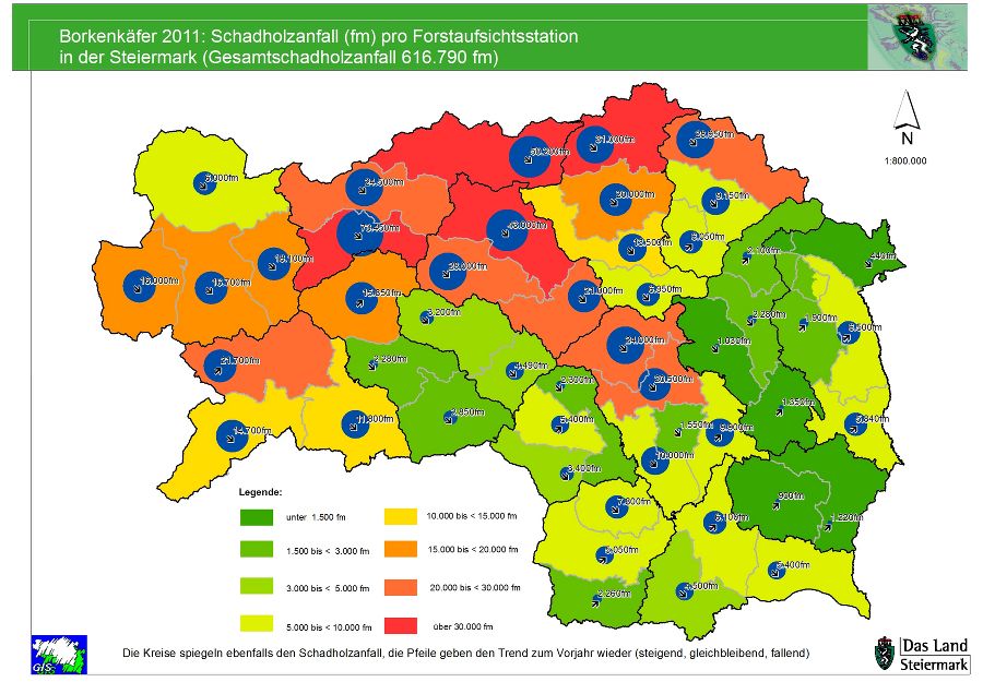 Schadholz 2011