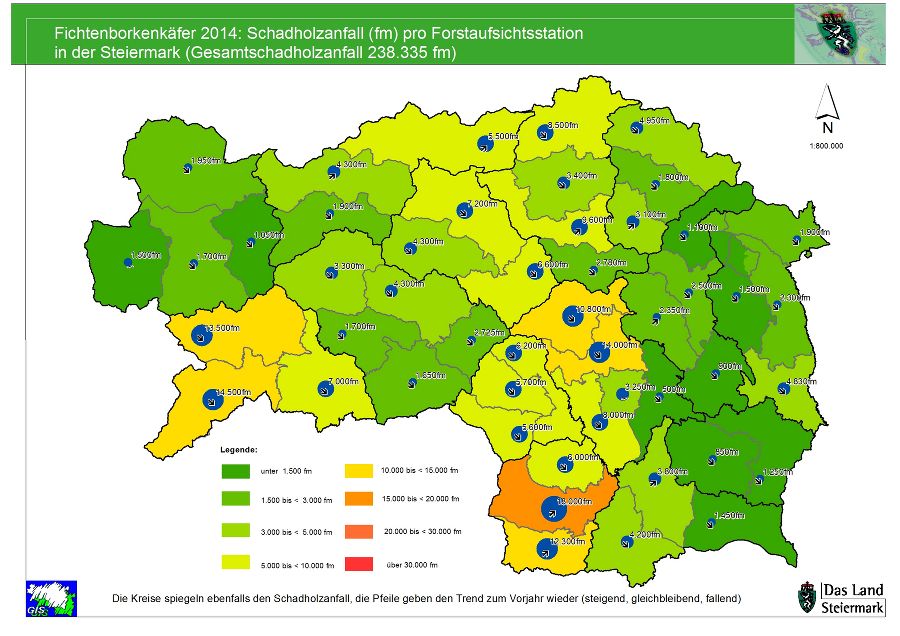 Schadholz 2014