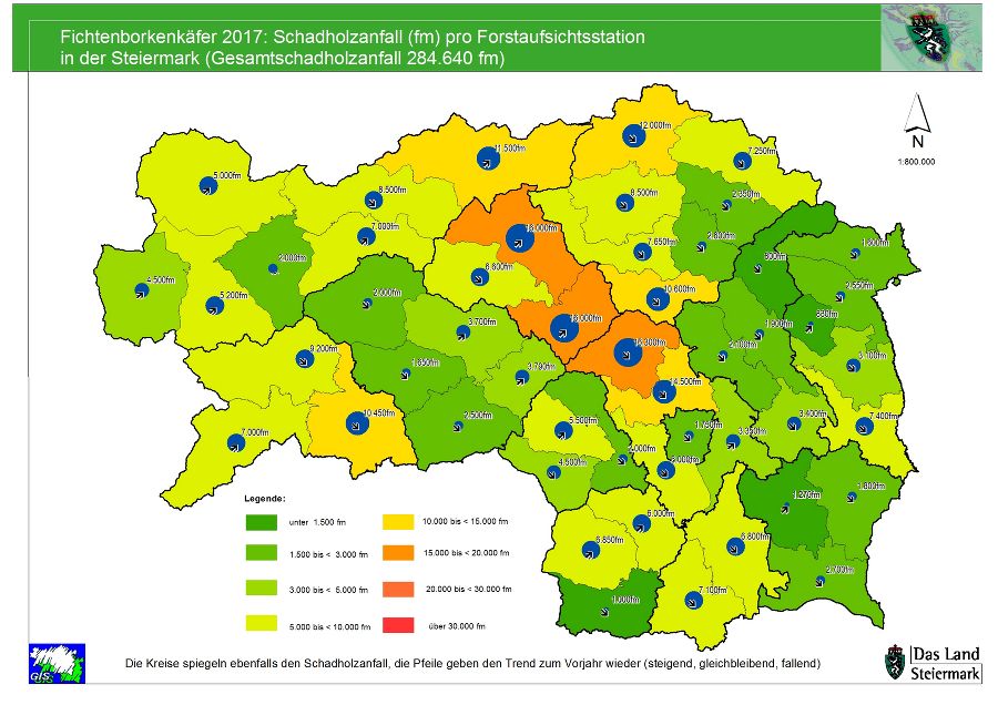 Schadholz 2017