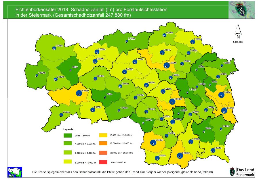 Schadholz 2018