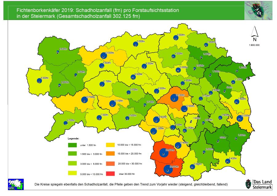 Schadholz 2019