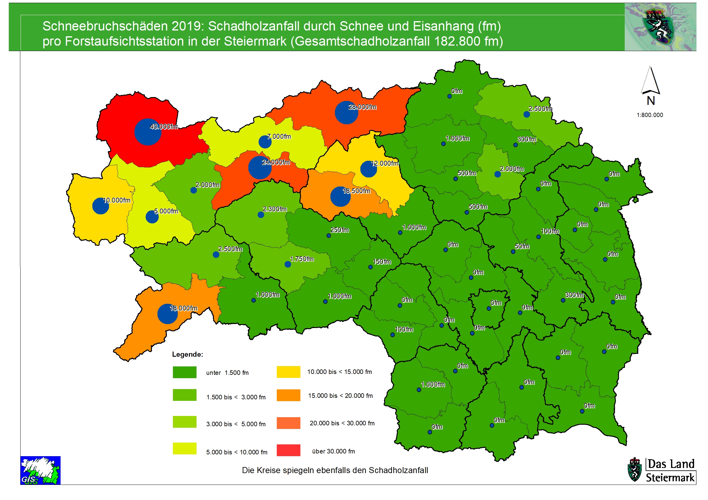Schneebruch 2019