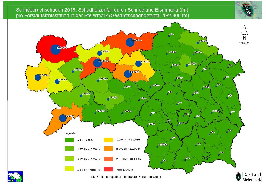 Schneebruch 2019