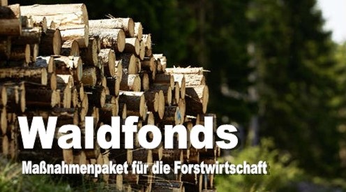 Waldfonds - Maßnahmenpaket für die Forstwirtschaft © LFD