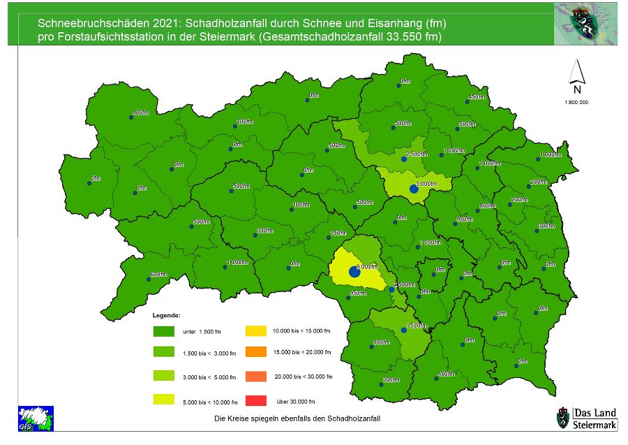 Schneebruch 2021