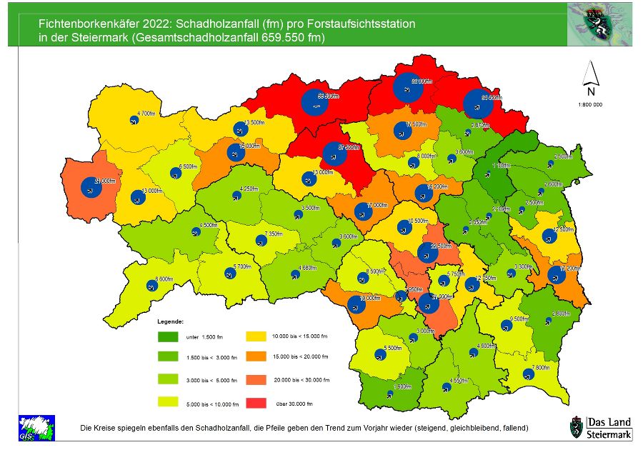 Borkenkäferschadholz 2022