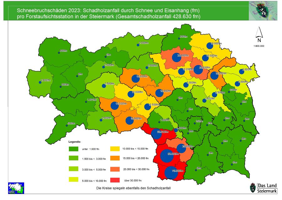 Schneebruch 2023