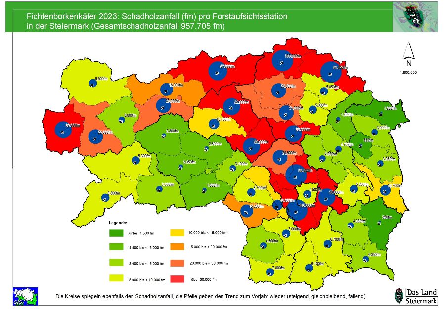 Borkenkäferschadholz 2023