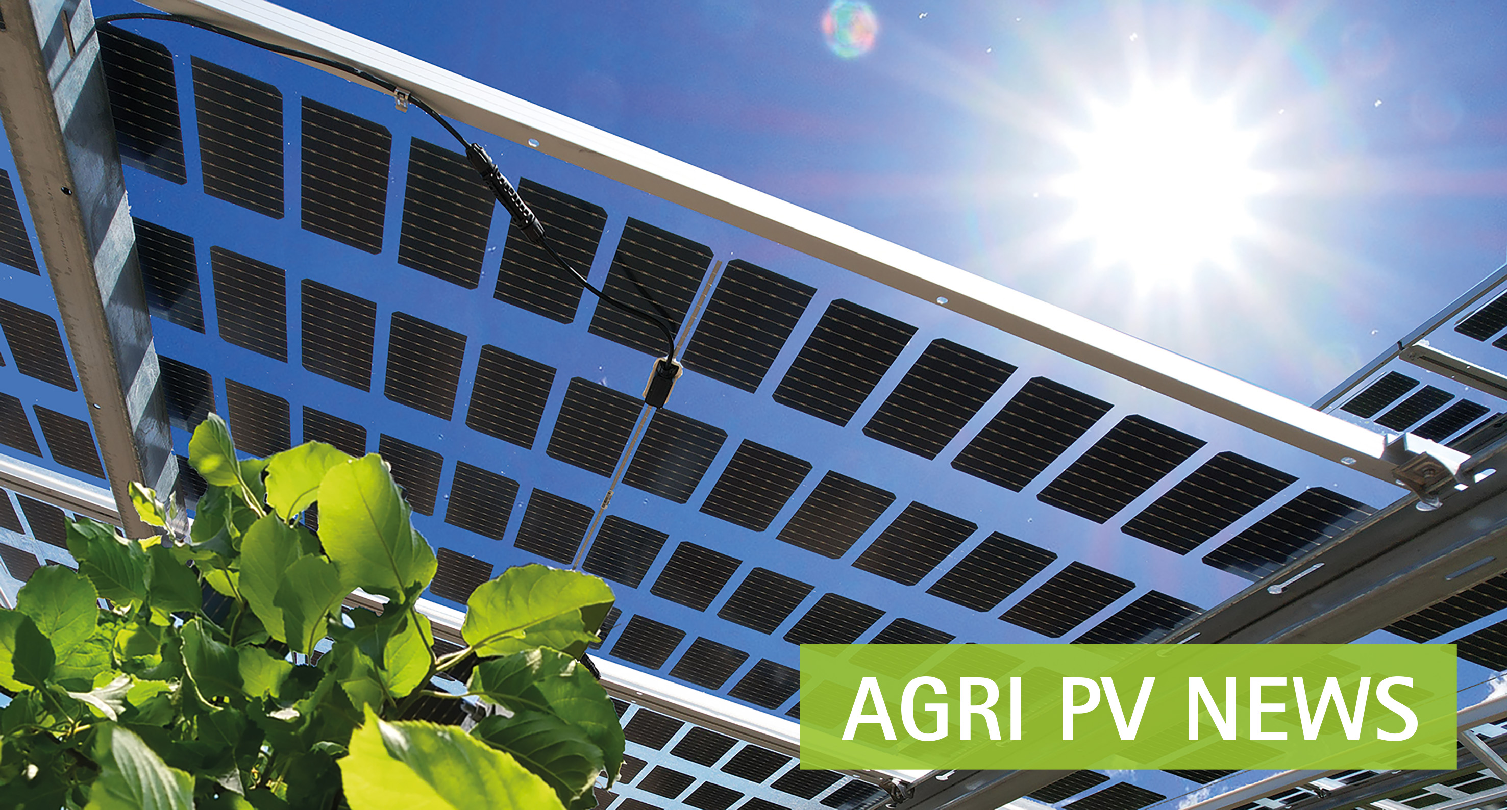 AGRI PV