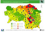 Schadholz 2024 © LFD