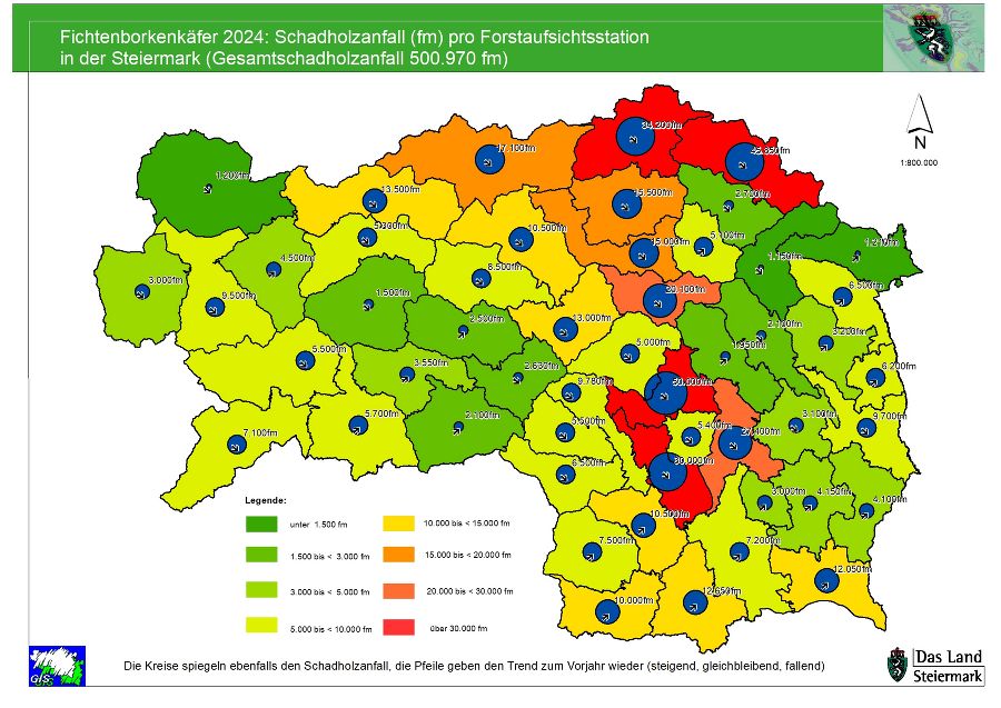 Schadholz 2024